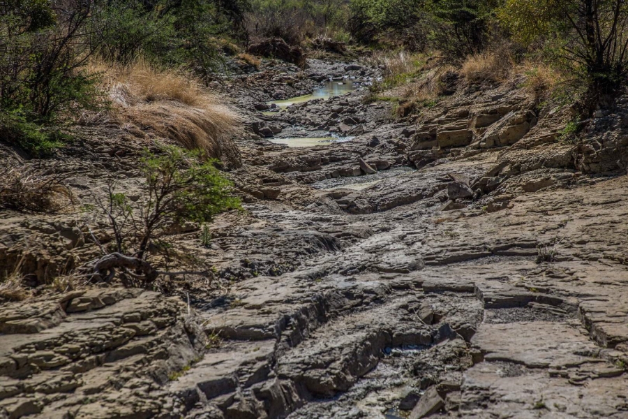 Commercial Property for Sale in Koppies Free State